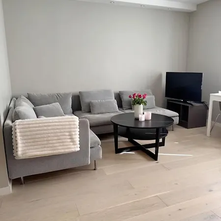 Modern 2br Balcony - Near Cruise Terminal Bergen
