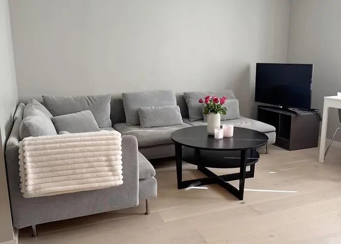 Modern 2br Balcony - Near Cruise Terminal Bergen